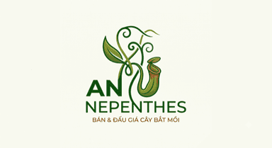 Nepenthes Hub